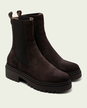 Moka suede ankle boots with elastic panels Kira
