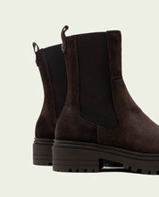 Moka suede ankle boots with elastic panels Kira
