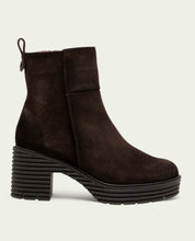 BOTTES À FERMETURE ÉCLAIR SALMA MOKA