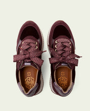 Zoe Bordeaux Flat Leather and Velvet Sneakers
